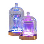 Glassware - Cloche - Drink - Small