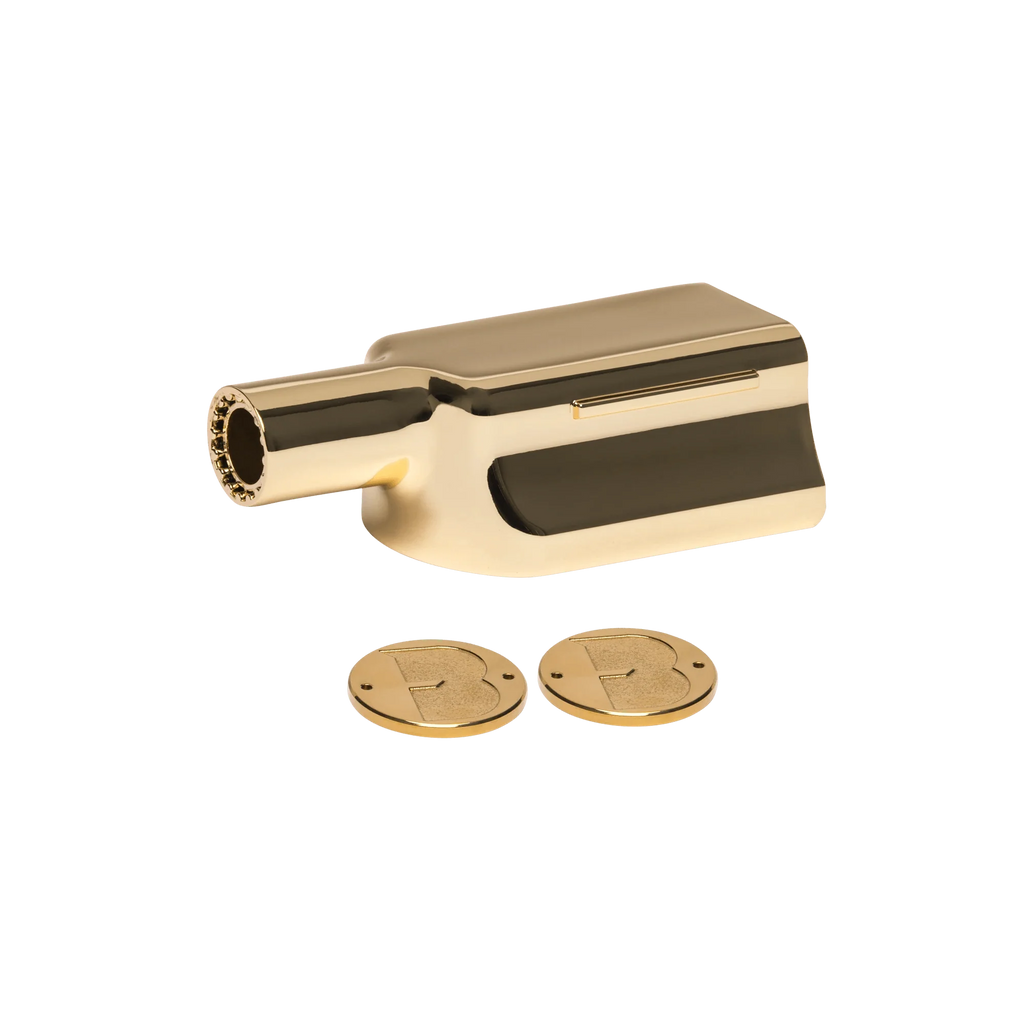 Pro 2 Single Gold Nozzle